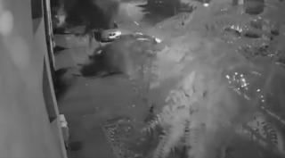 Copac retezat cu viteză nebună, la Satu Mare, de o mașină scăpată de sub control. Șoferul a dispărut (video)