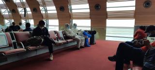 Vacante în aer, avioane la pământ. Companiile aeriene sunt sufocate de pierderi, din cauza pandemiei