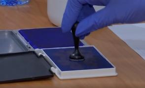 Luptă între putere și opoziție pe amânarea alegerilor