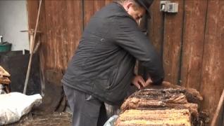 Boştinarii, meşterii care realizează foiţa de ceară care va deveni viitorul fagure, tot mai rari