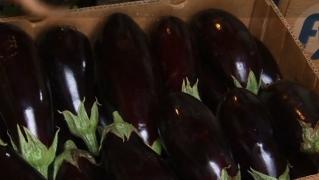 Vremea bună pune pe masă legume românești