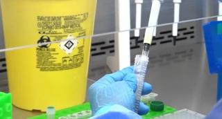 În culisele unui laborator de teste pentru coronavirus