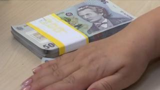 Datoriile către stat ar putea fi plătite în rate. Cine poate beneficia de eşalonare