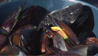 Sezonul scoicilor la ceaun, deliciu pentru turiștii de la malul mării