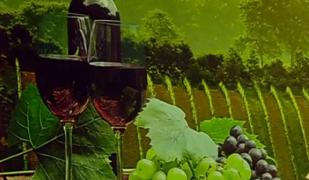 Cramele se pregătesc pentru Sărbători