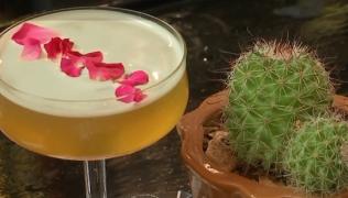 Băuturi de excepție din plante native cubaneze