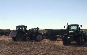 Pâinea s-ar putea scumpi, după ce România a trecut printr-o secetă dezastruoasă