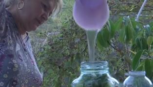 Saramura izvorăște direct din munte, în localitatea buzoiană Mânzăleşti