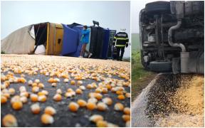 Un șofer de TIR a răsturnat camionul cu porumb, după ce o șoferiță a tras de volan să evite un iepuraș  [Video]