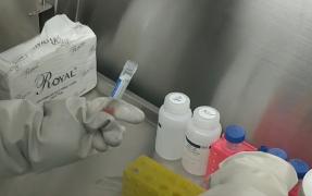 Afirmații contradictorii cu privire la vaccinul anti-Covid. Nelu Tătaru: ''Avem o primă tranșă care ar trebui să vină la sfârșitul lui decembrie''