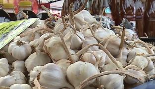 Usturoiul românesc câștigă lupta cu cel de import