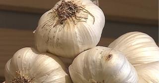 Producția de usturoi, în creștere în România