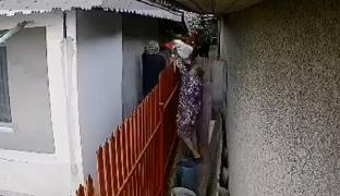 Pensionare din Galați, cercetate penal după ce au furat câinele unui vecin