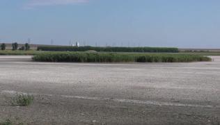 Lacul Nuntaşi, din Constanţa, readus la viață cu ajutorul excavatoarelor. VIDEO