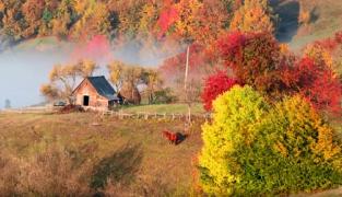 Peisaje de vis în Apuseni. Fotografii vânează cele mai bune cadre