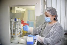 Analiză Observator: Grupa de vârstă 40-59 de ani, ţinta preferată a virusului