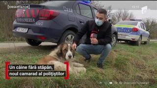 Observator 13 Weekend