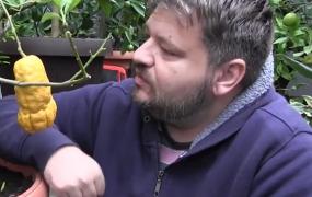 Un diacon din Arad cultivă în sera sa citrice de pe toate continentele. Cel mai vechi soi datează din 1955