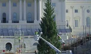 Pregătiri de Crăciun, în vremea pandemiei. Sărbătorile le dau fiori autorităţilor