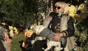 Acasă la Mirabela Dauer. Cum a fost pentru artistă perioada de izolare