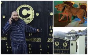 Percheziții la locuința lui Dani Mocanu, după videoclipul cu un leu rănit. Artistul spune că i-a ”invitat” pe mascați la cafea