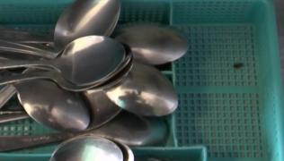 Spitalul din România în care pacienții nu au loc de gândaci. „Îmi băgam hârtie igienică în ureche, să nu mă trezesc cu vreunul”