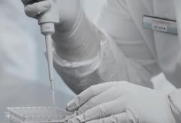 OMS ia în calcul introducerea unor „certificate de vaccinare” pentru călătorii. Țara care testează deja acest sistem