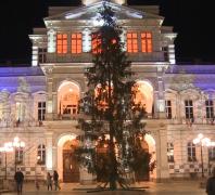 Bradul de Crăciun din Arad a ajuns ţinta ironiilor pe internet. Primarul a decis să-l înlocuiască