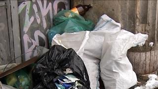 Sectorul 1 din Capitală, sufocat de gunoaie. Clotilde Armand anunță că deșeurile vor fi, în sfârșit, ridicate de pe străzi