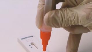 Testele rapide pentru Covid-19, la mare căutare pe internet