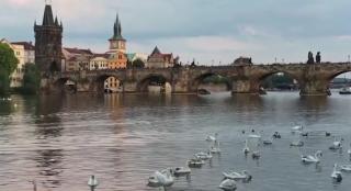 Moș Crăciun găsește uși închise în Europa. Restricții aspre în Olanda și Germania