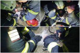 Imagini copleșitoare. Pompierii încearcă să resusciteze un cățel, prins în mijlocul unui incendiu, la Satu Mare