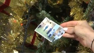 Bradul de Crăciun de la Spitalul Județean Timișoara, împodobit cu reuşite şi amintiri