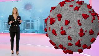 Virusul Sars-CoV-2 a suferit mutații. Răspunsurile specialiștilor la cele mai arzătoare întrebări