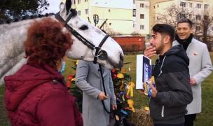 Ajut eu. Un cal pentru un campion. Visul lui Alexandru Tăbuică a fost împlinit