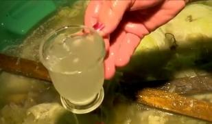 Zeama de varză, leac oltenesc care ”ne drege” după sărbători