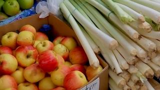 România a intrat la cură. După sarmale, caltaboși și cârnați, nutriționiștii recomandă legume și salată