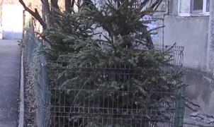 Brazi abandonaţi pe marginea drumului. Oamenii legii promit amenzi usturătoare