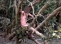 Fugar, salvat de doi pescari, în Australia. Bărbatul dezbrăcat se urcase într-un copac, deasupra unui lac plin cu crocodili