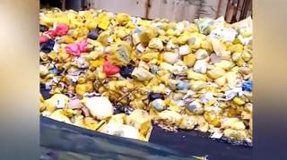 Arderea deșeurilor medicale, un coșmar fără sfârșit în Parcul Industrial Brazi