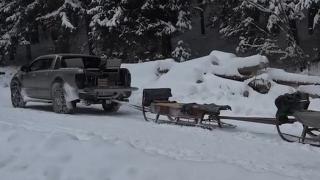 Experienţa inedită: Plimbare cu sania trasă de... autoturismul de teren