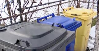 Lege pentru colectarea selectivă a frunzelor. Amenzi usturătoare pentru gospodarii care mai dau foc la frunze în curte