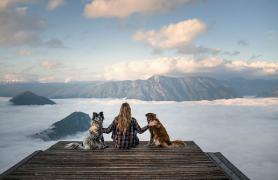 Anne Geier, o fotografă din Austria, a adoptat doi câini din România și le spune povestea în poze spectaculoase