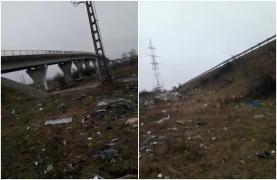 Imagini revoltătoare. Mai multe animale moarte, găsite pe un câmp din Craiova