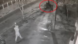 O femeie din Găești, filmată când fură de pe trotuar tomberonul plin cu gunoi. Hoața este căutată de poliție