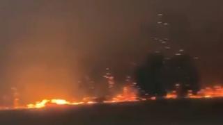 Coşmar cu repetiţie în Australia. Incendiile de vegetaţie fac din nou ravagii