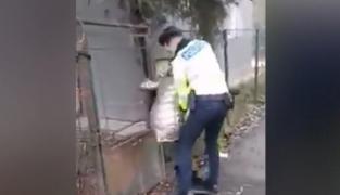 O tânără cu un coșuleț de ghiocei în mână, care "apela la mila publicului", încătușată și dusă la secție, în București