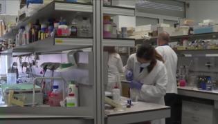 Ne-am ferit de Covid-19 și am scăpat de gripă. Doar patru cazuri au fost confirmate în laborator în acest sezon