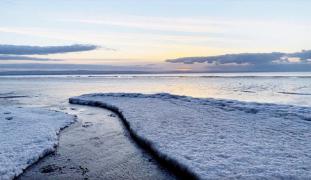 A înghețat Tamisa, după șase decenii. Val de ger peste Marea Britanie