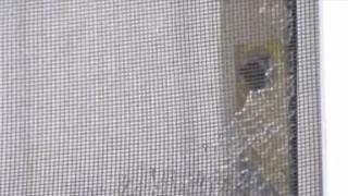 Un băiețel de 12 ani din SUA a împușcat mortal un hoț pentru a-și apăra bunica. Femeia fusese victima unei tentative de jaf